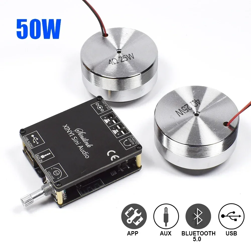 Home Cinema Installation - 2*25W Portable Stereo Vibration Speaker Audio