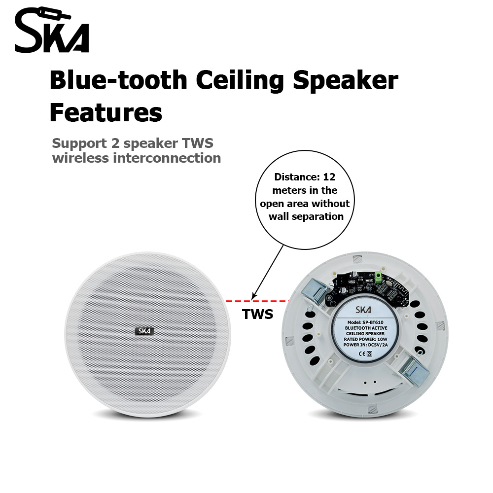 Ceiling Bluetooth Speaker 6inc - Home Cinema Speaker System ulasan dan harga