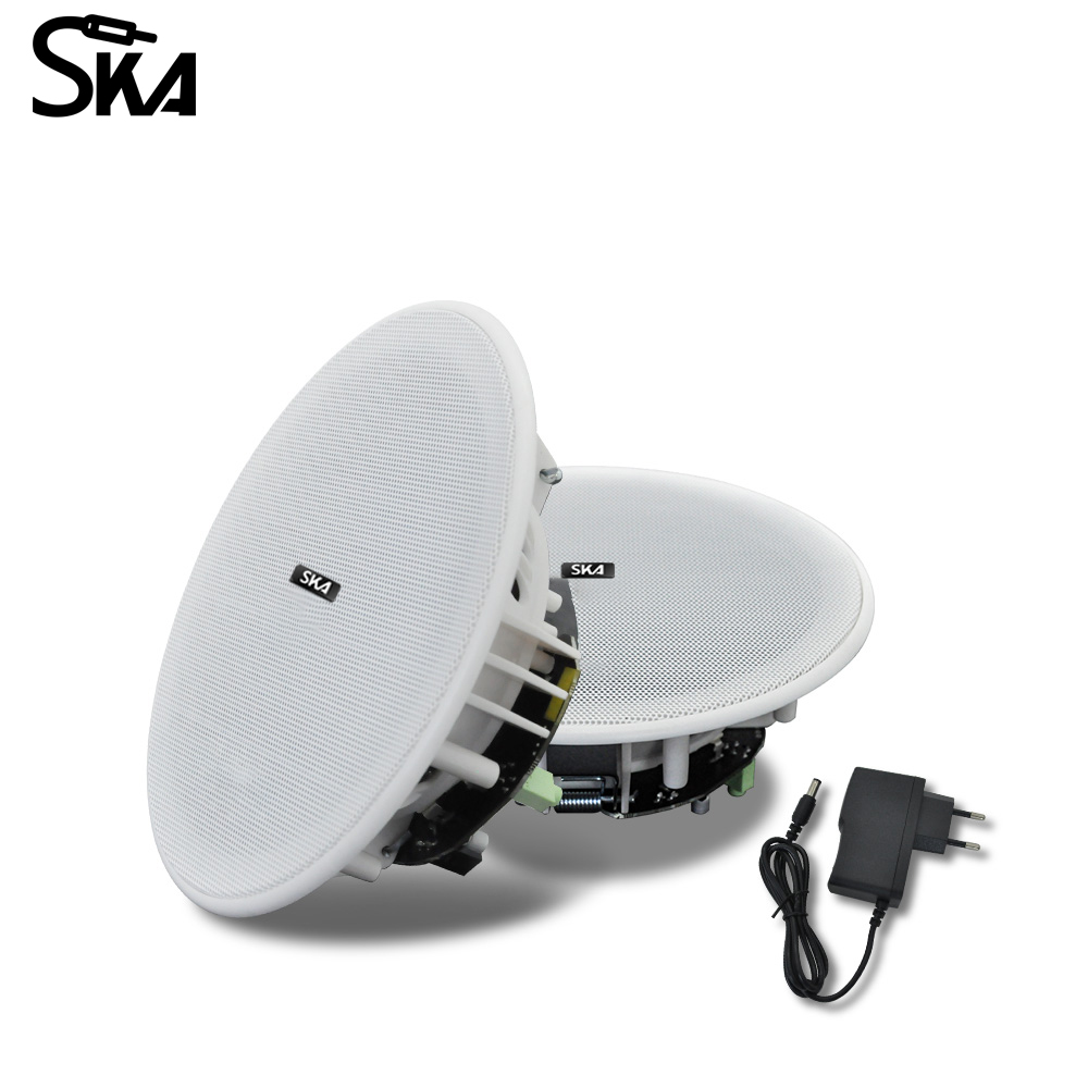 Ceiling Bluetooth Speaker 6inc - Home Cinema Speaker System ulasan dan harga
