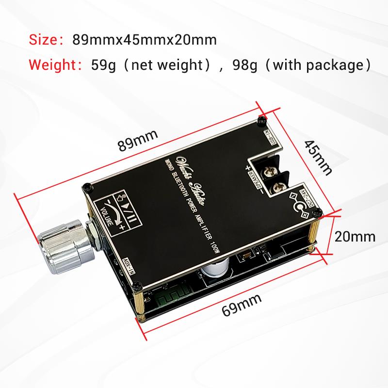 Bluetooth 5.1 TPA3116 D2 Mono  - Home Cinema Installation ulasan dan harga