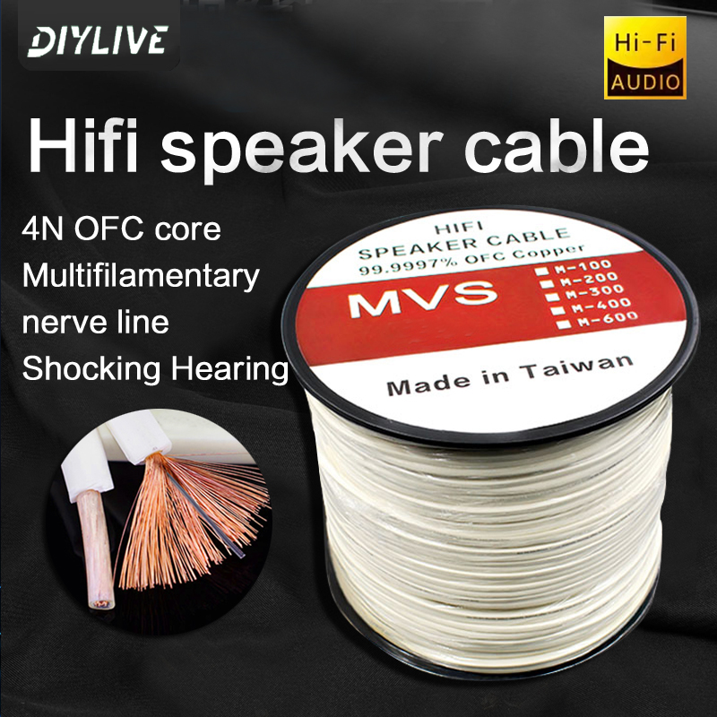 DIYLIVE HiFi Speaker Line for  - Home Cinema Xlr ulasan dan harga