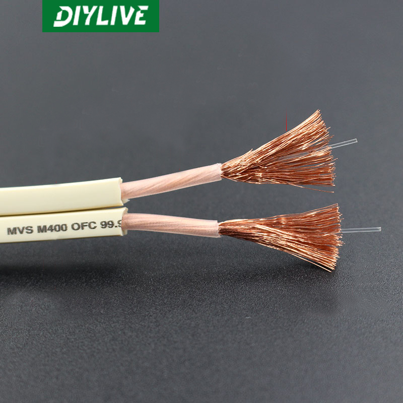 DIYLIVE HiFi Speaker Line for  - Home Cinema Xlr ulasan dan harga